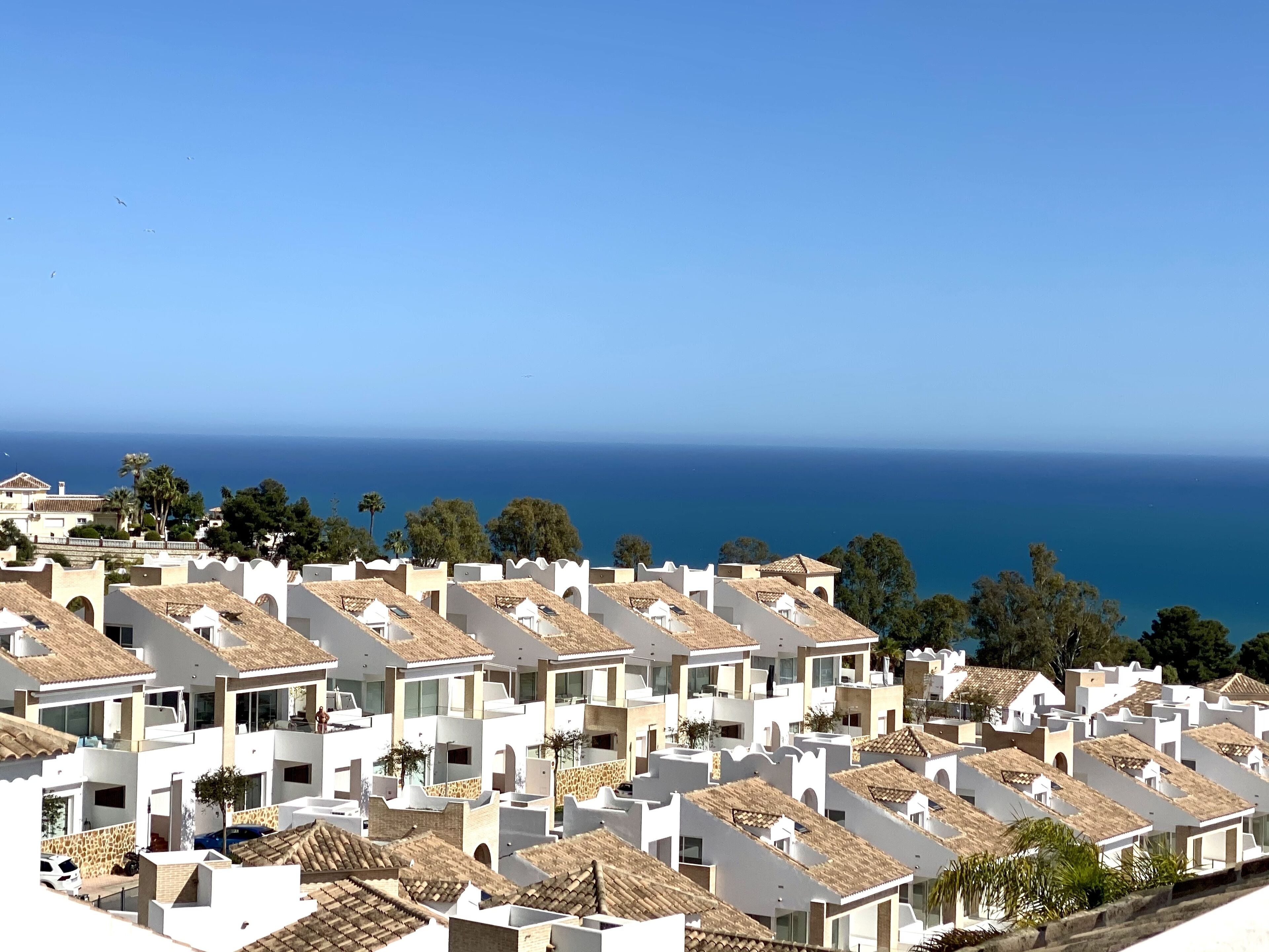Mondrian Luxury Suites & Villas