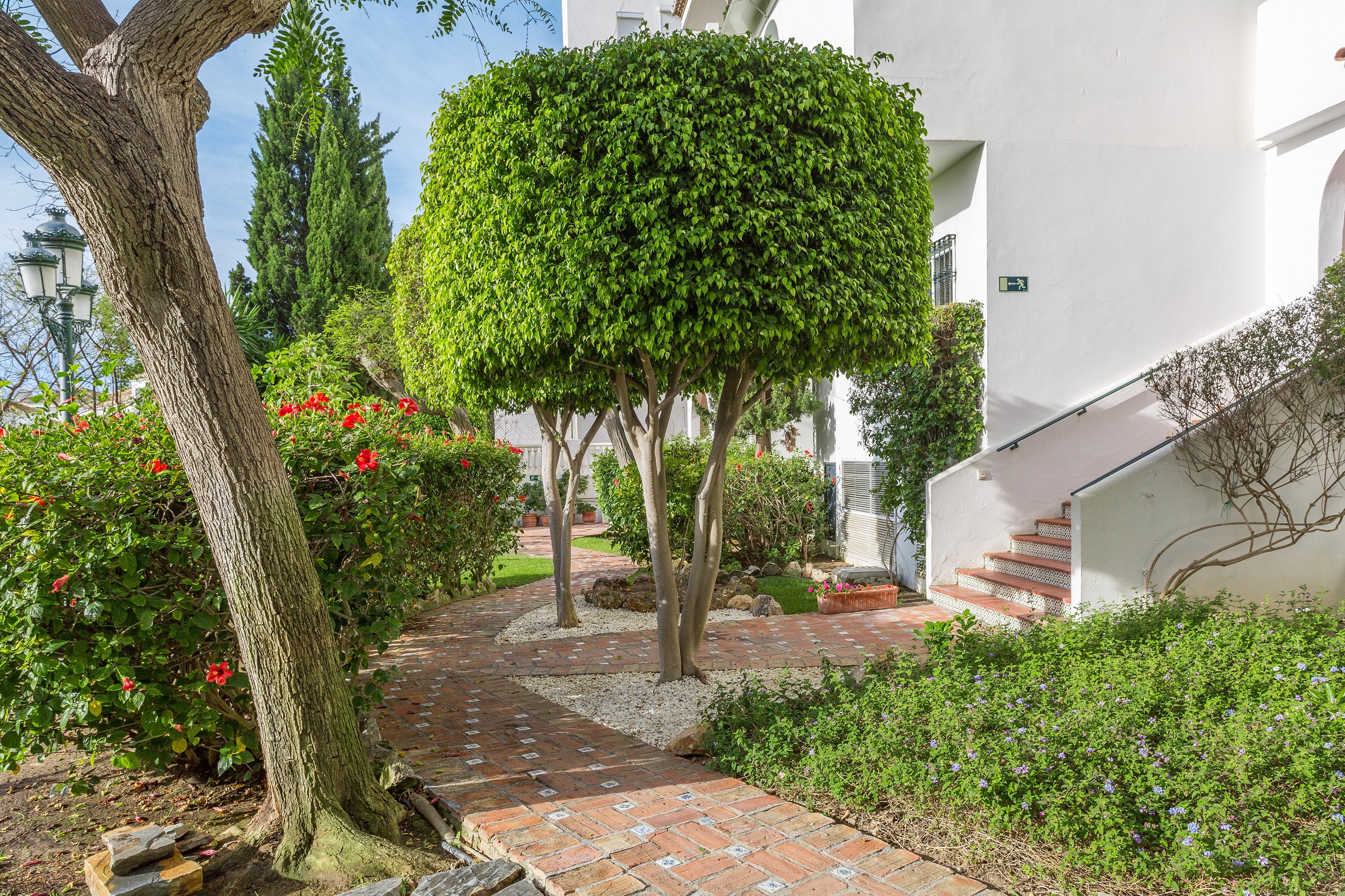 Royal Oasis Club at Pueblo Quinta