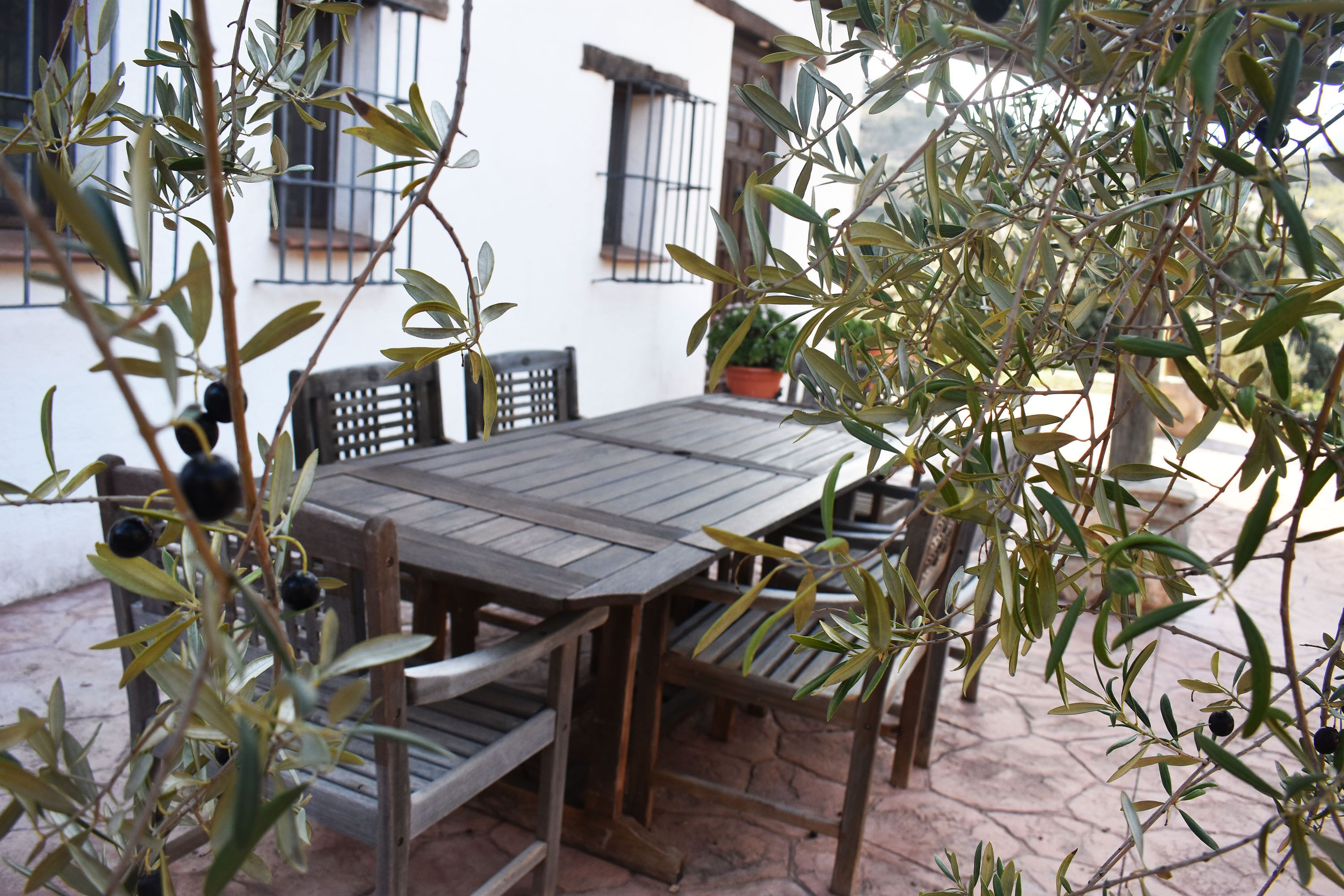 Casa Kisi