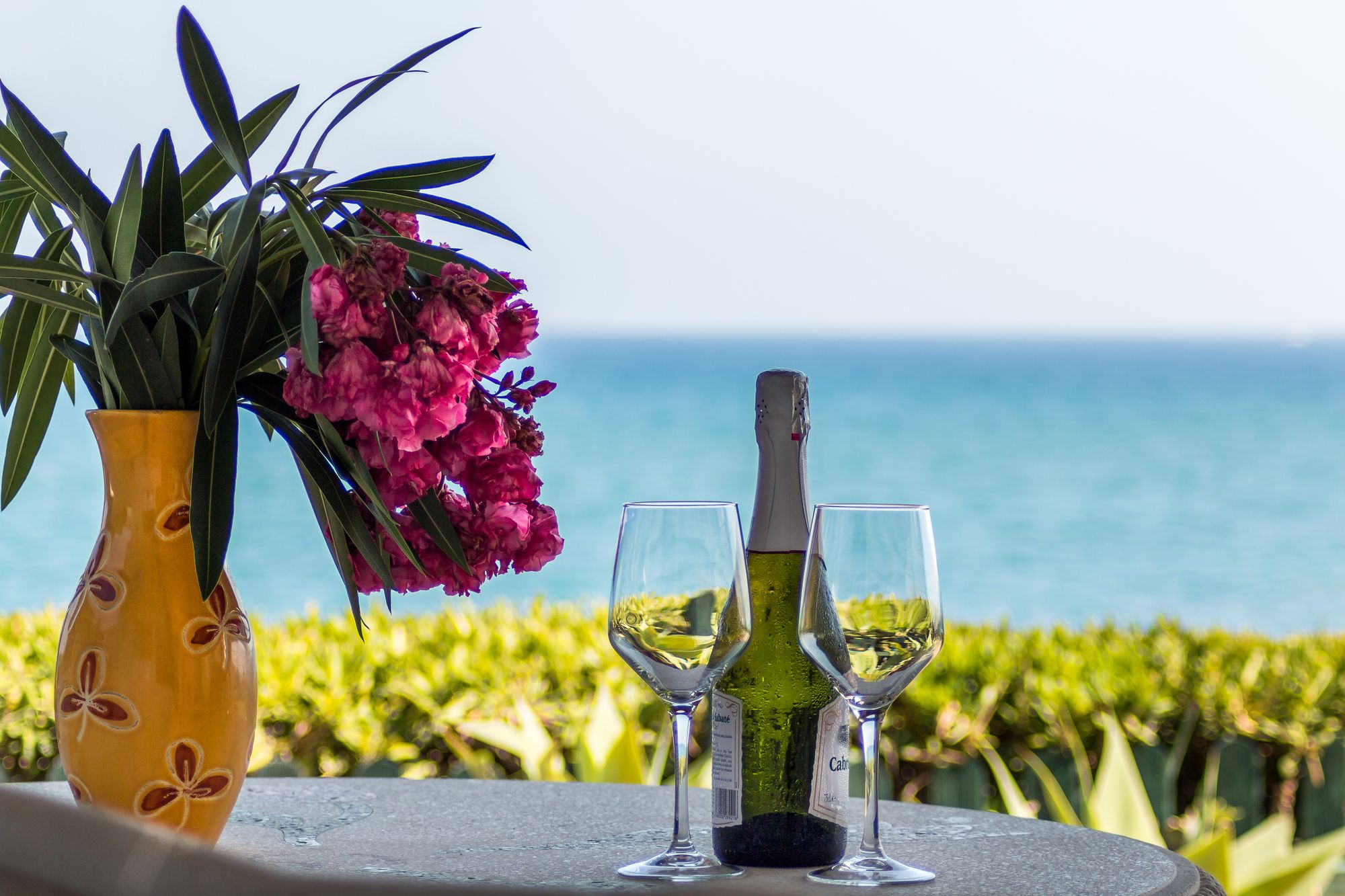 Beach Villa Dorada