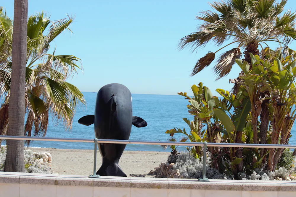 Bellavista Costa Del Sol