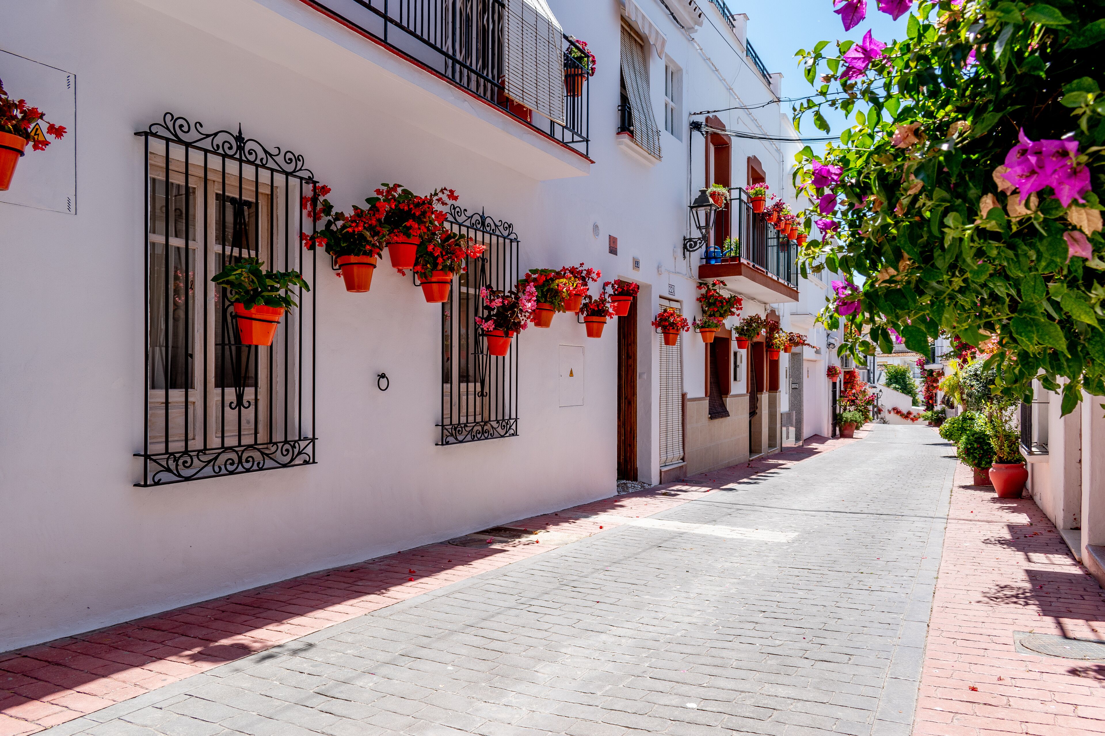 Casa Del Patio