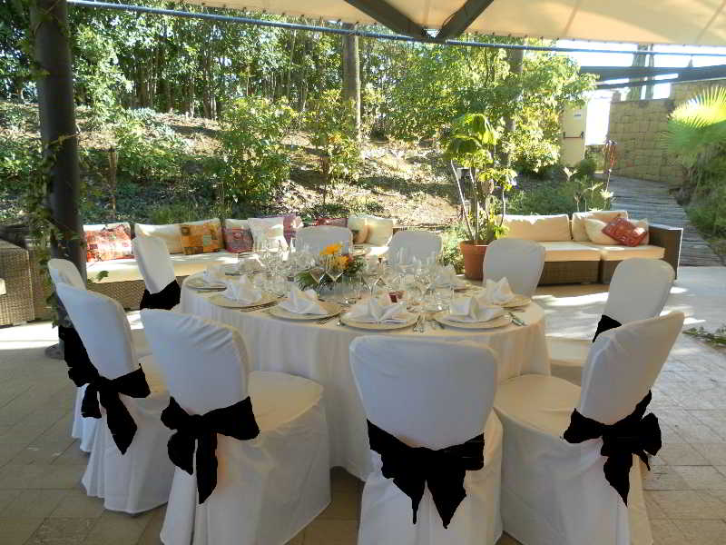 Senator Banús Delight Collection