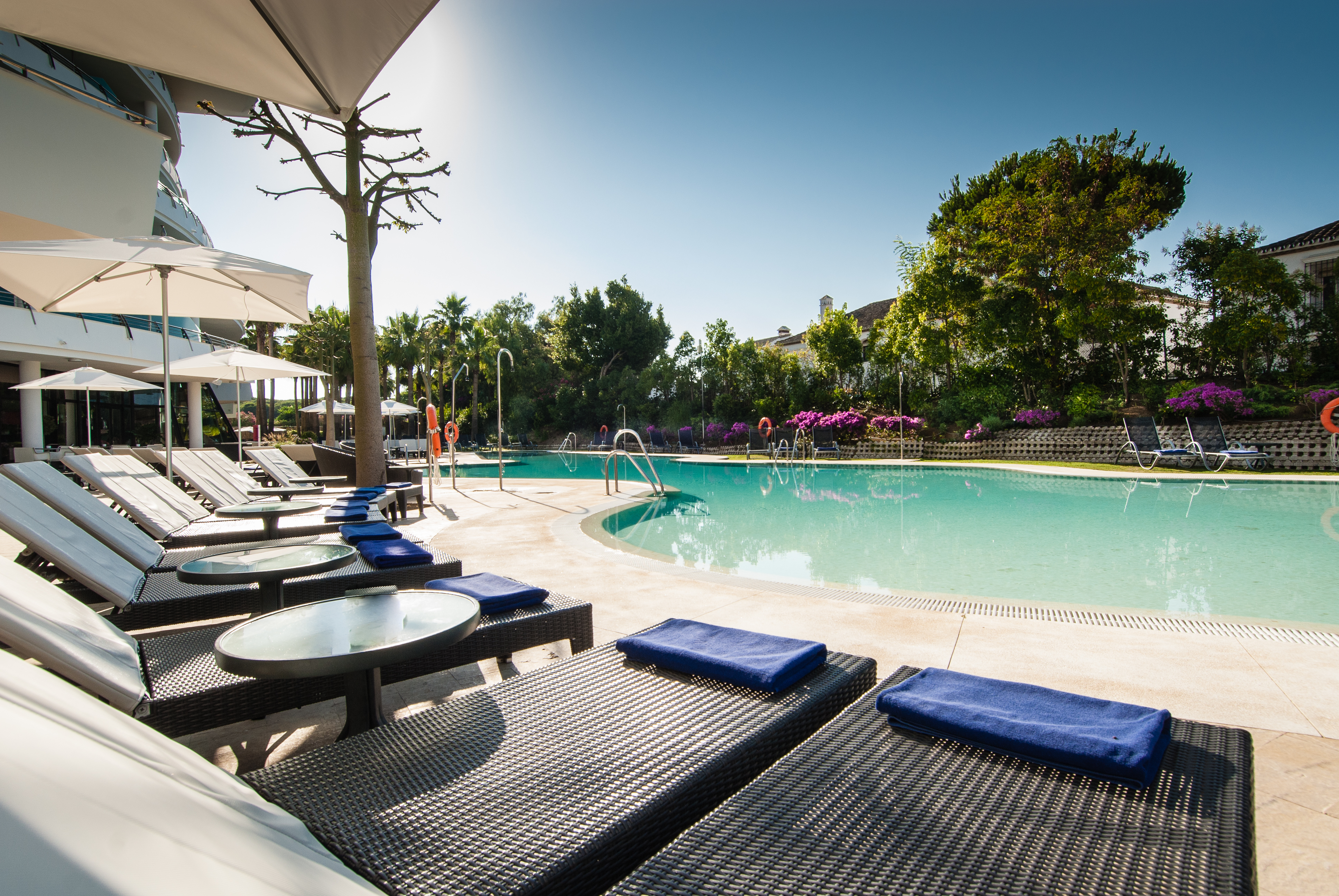 Senator Banús Delight Collection