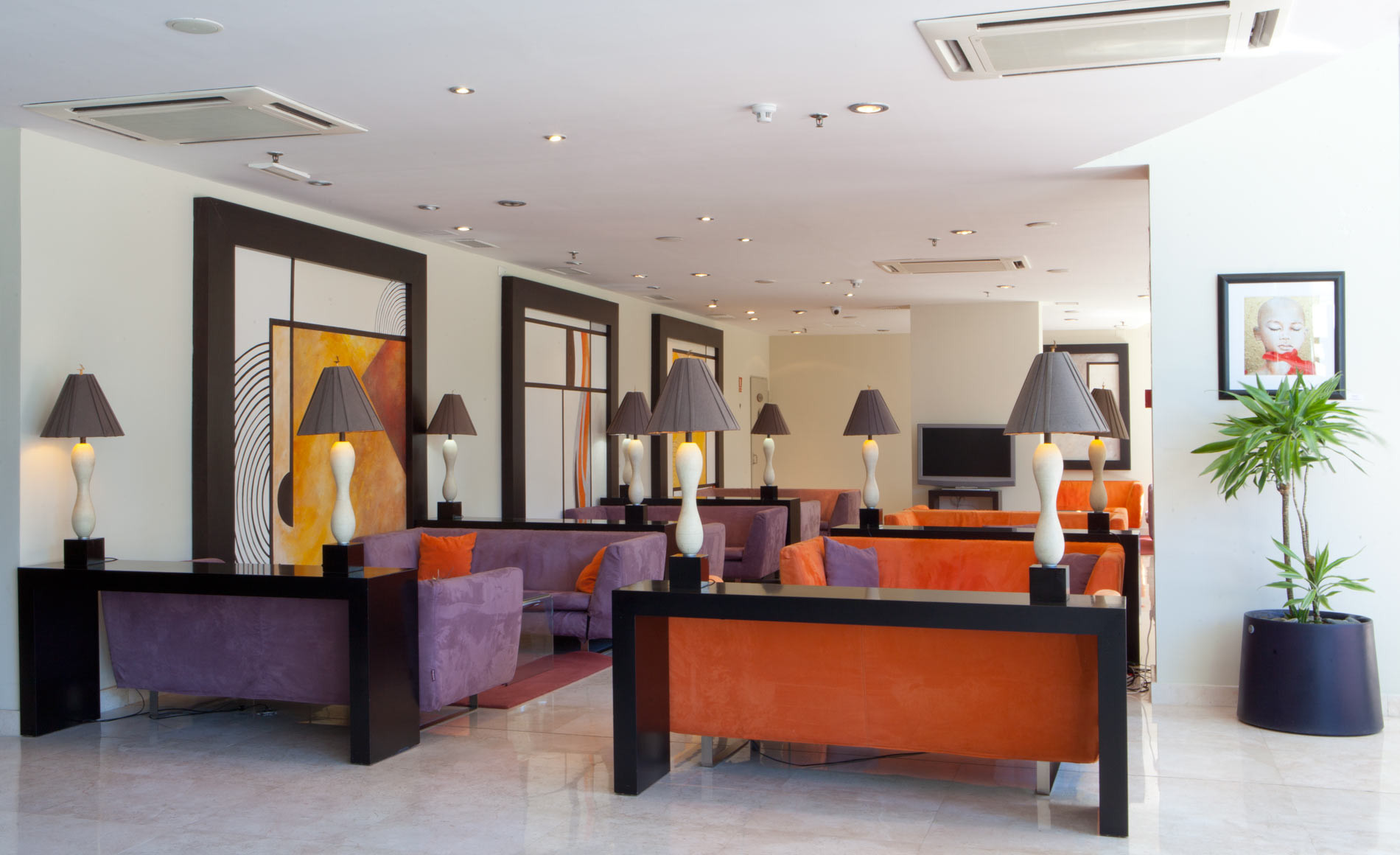 Senator Banús Delight Collection