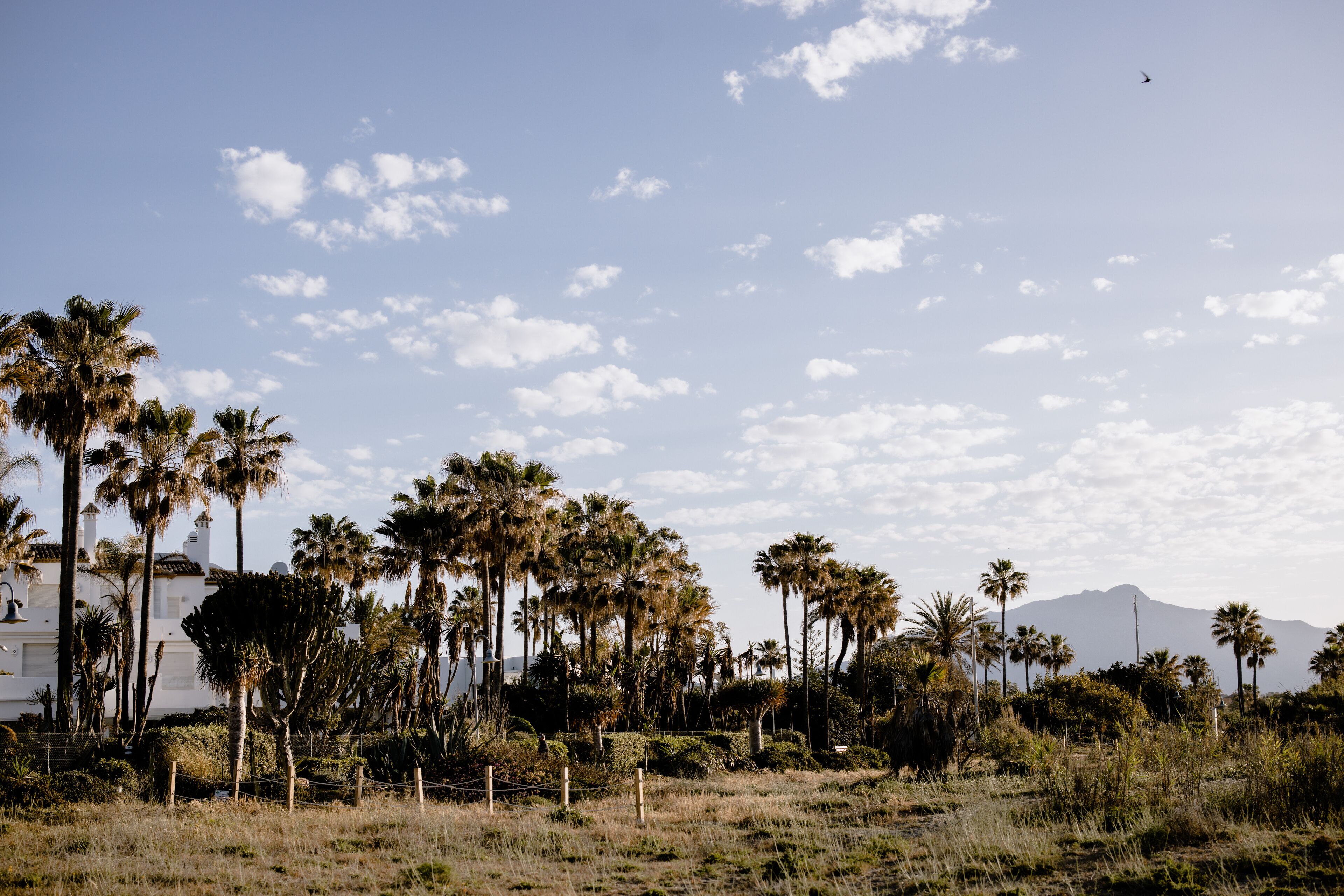 The Flag Costa Del Sol