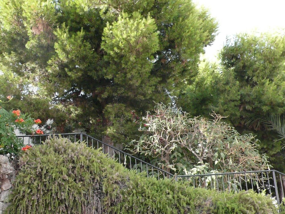 Tipica Casa En Frigiliana