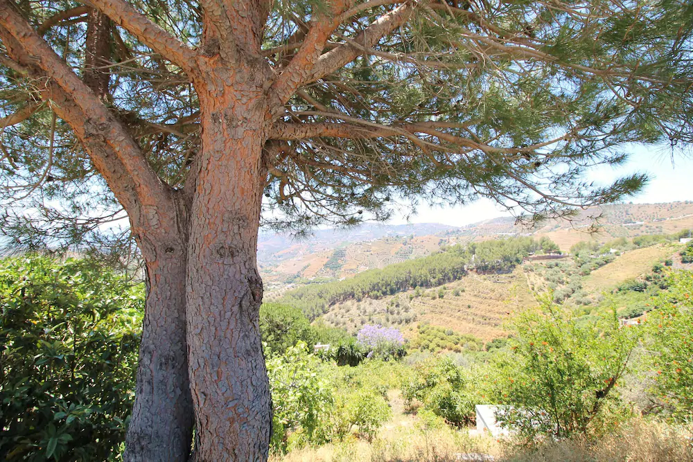 Villa Rosa SpainSunRentals