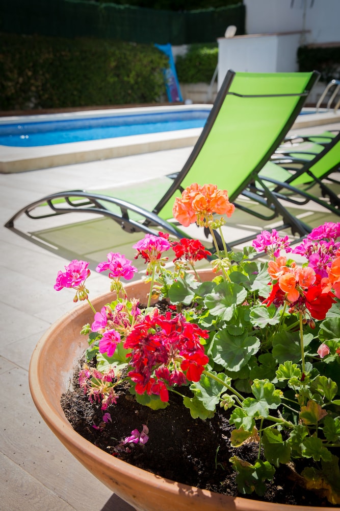 Holidays2Fuengirola Center & Boliches