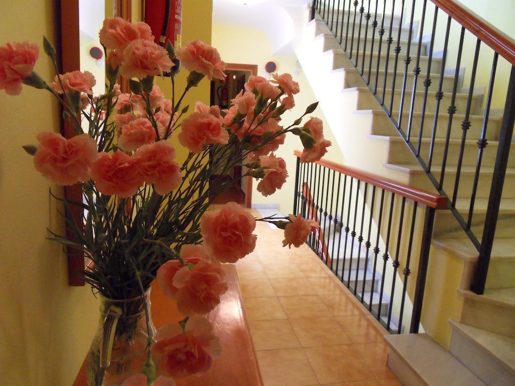 Hostal Marbella