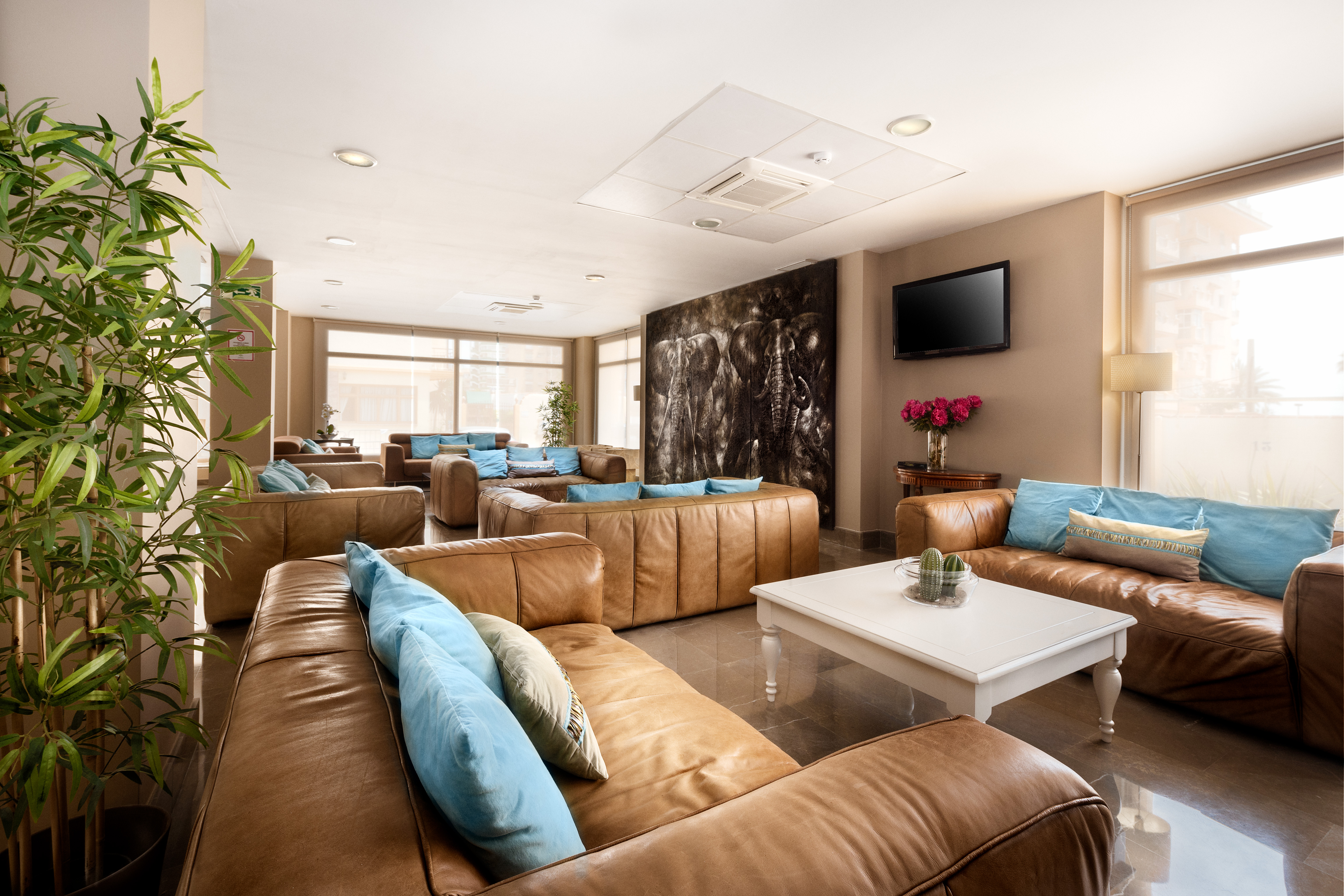 Hotel Mainare Playa