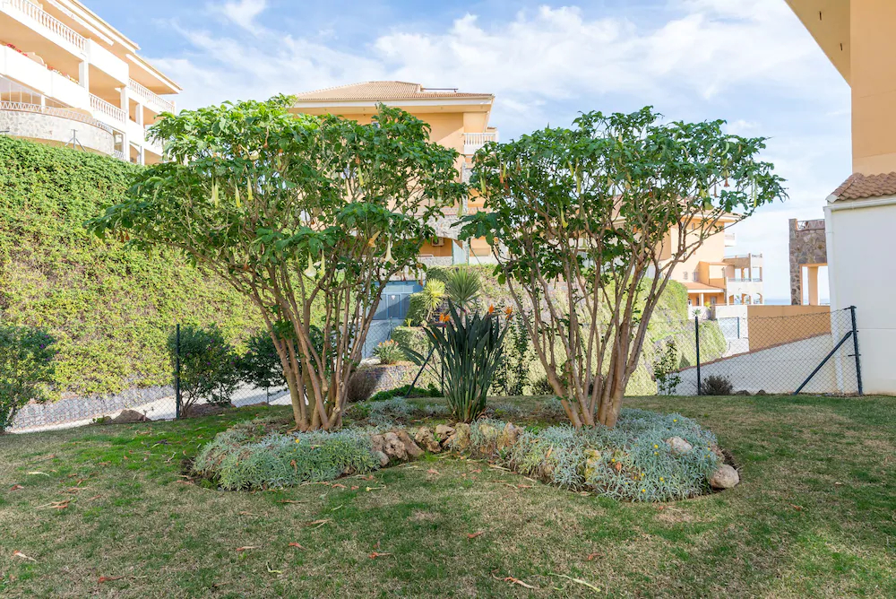 MalagaSuite Ocean Views