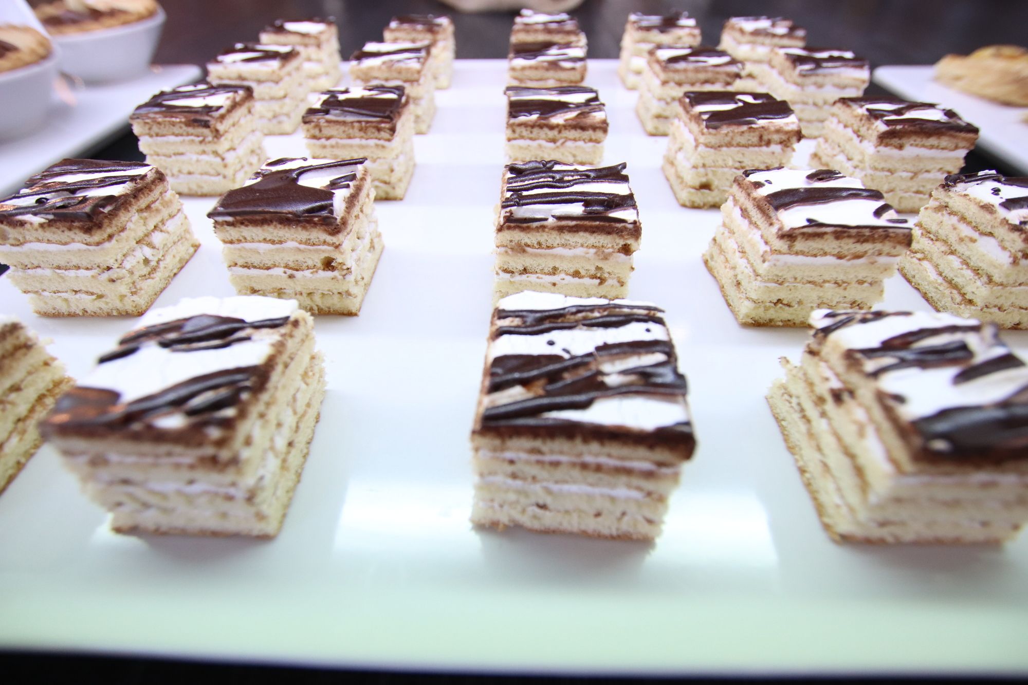 Ohtels Campo De Gibraltar