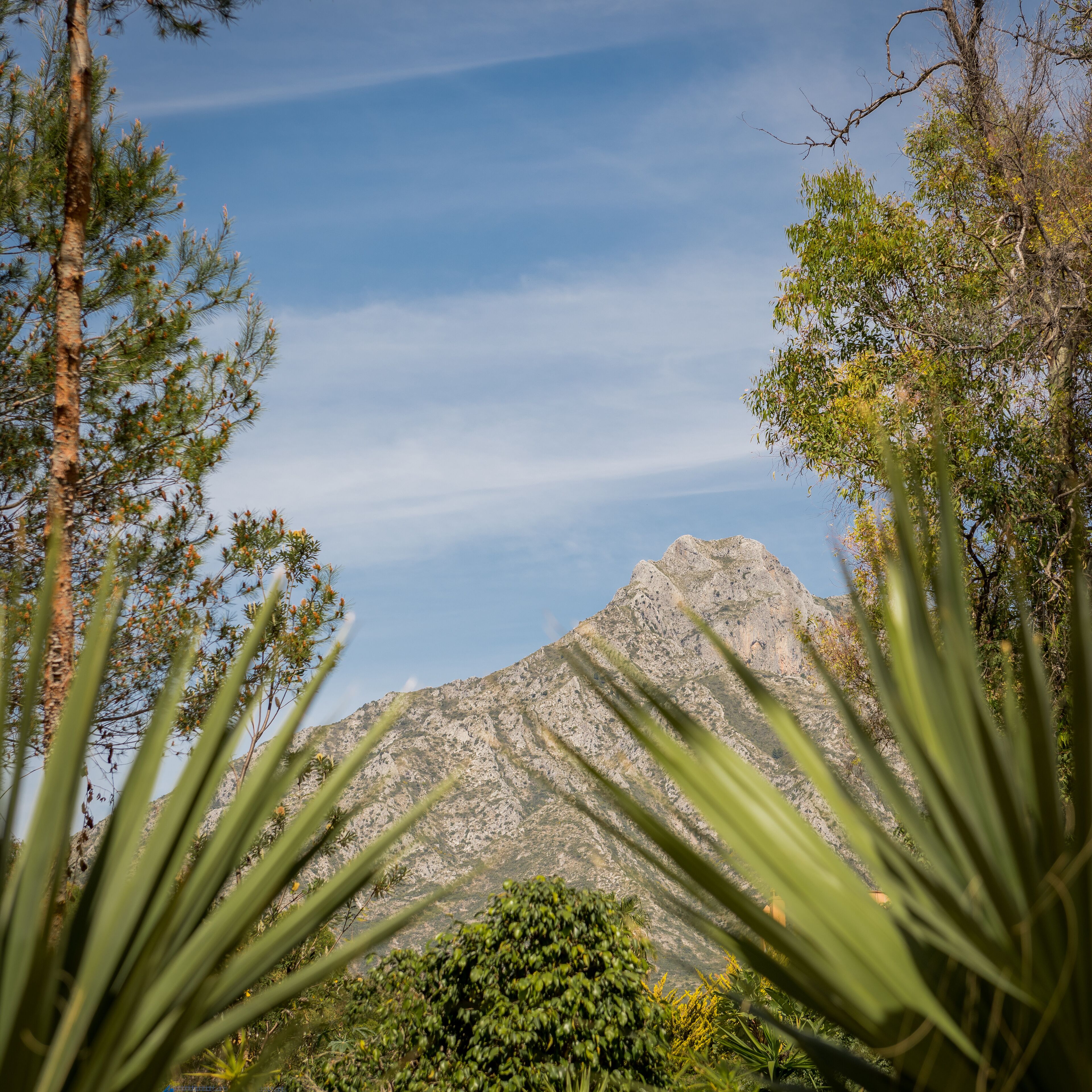 Alanda Marbella Hotel