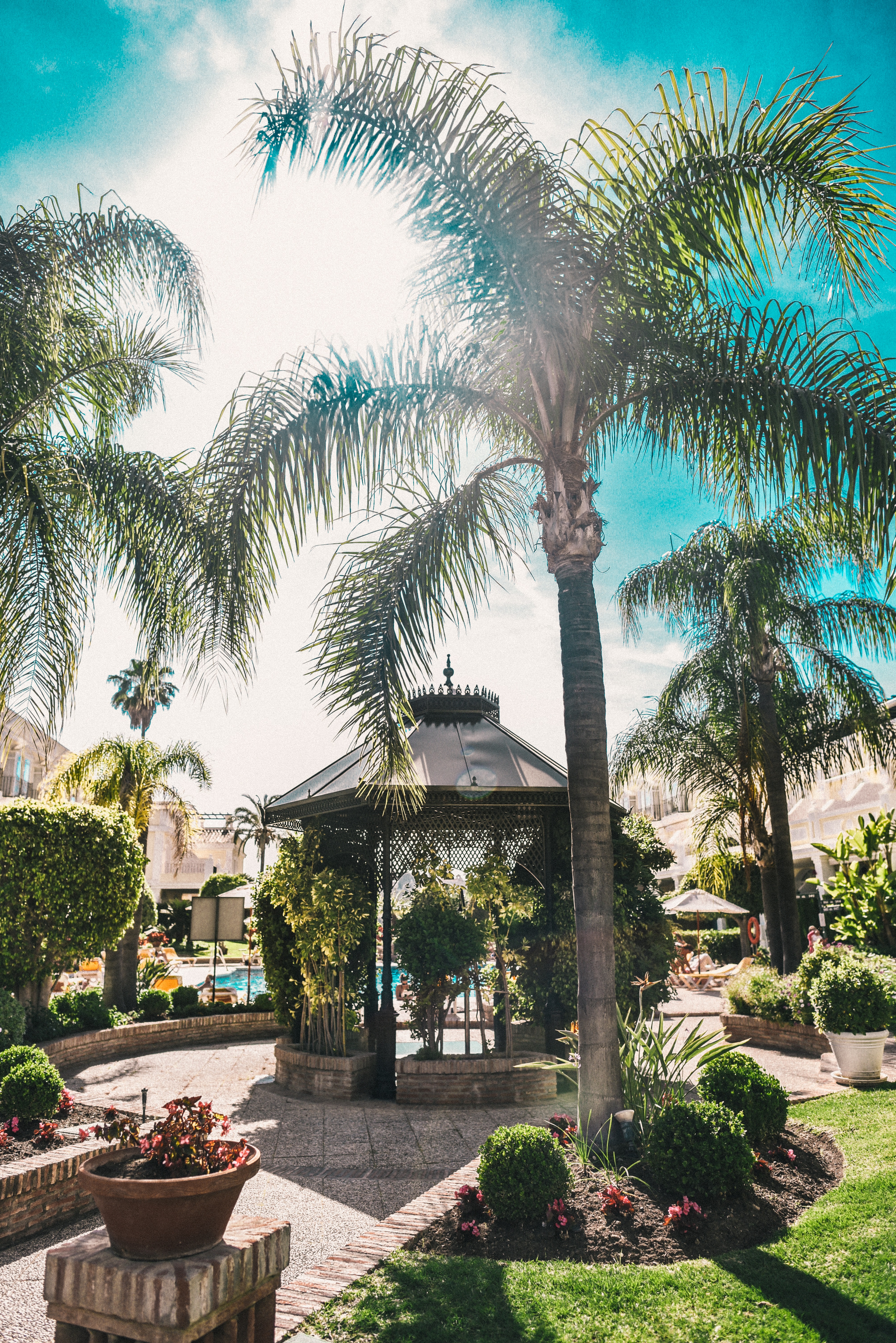 Aloha Gardens