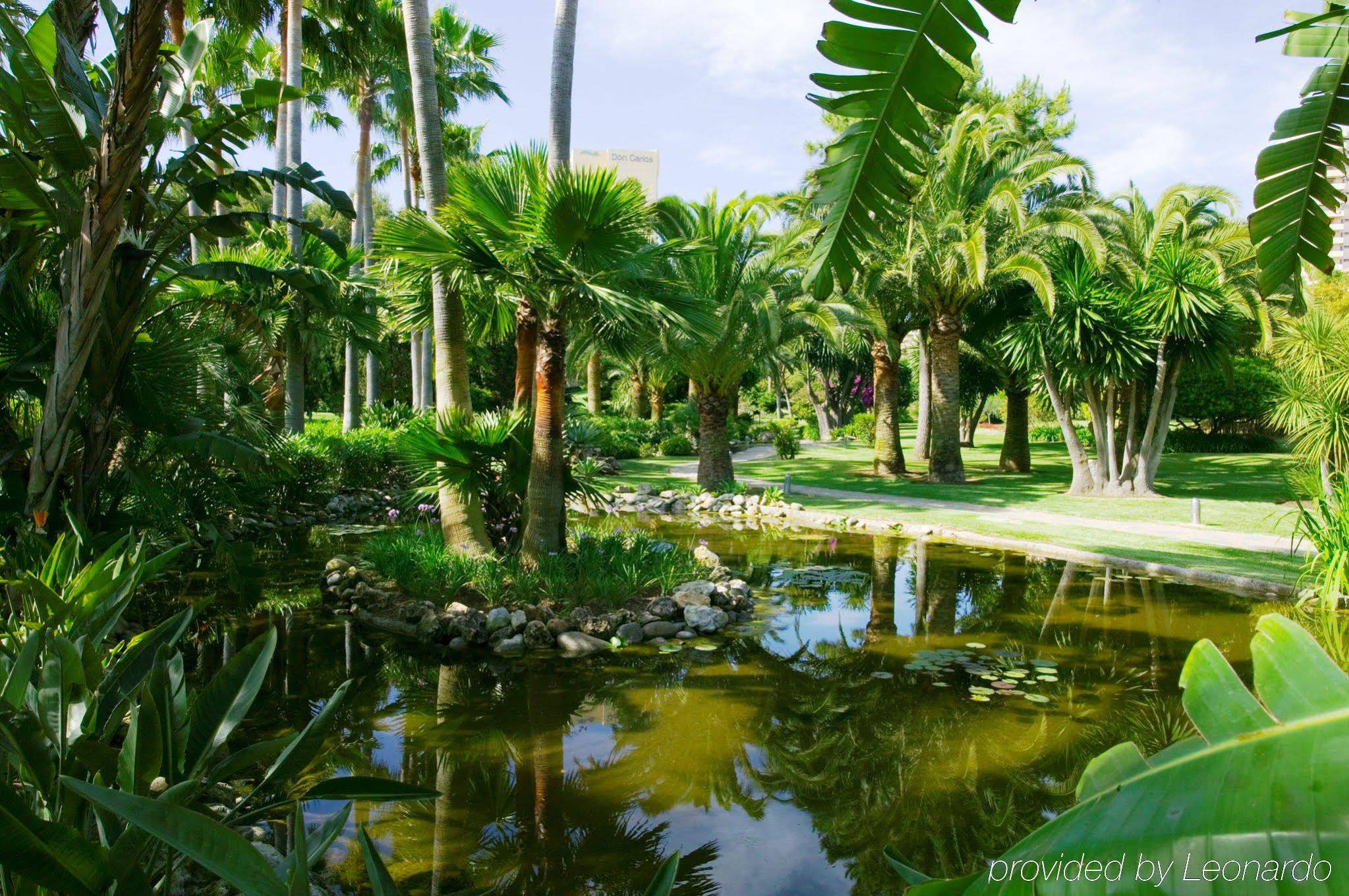 Don Carlos Resort