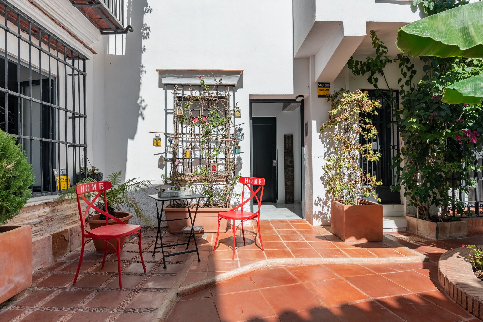 Dreams of Marbella