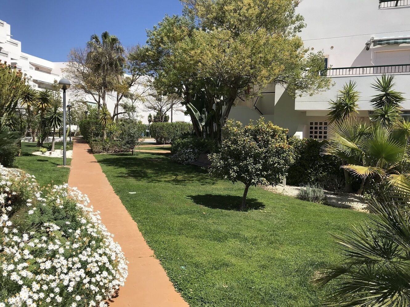 Guadalmina Baja