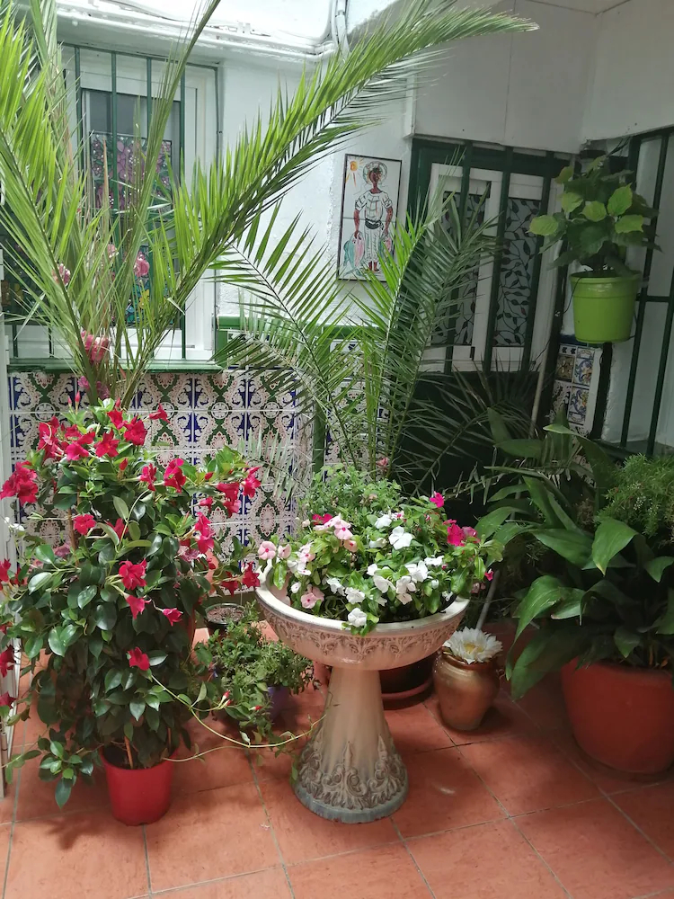 H Juan Vivienda Turistica