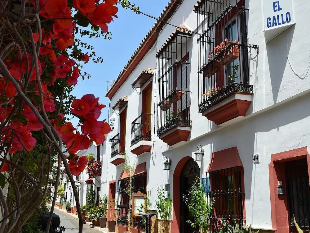 Hostal El Gallo