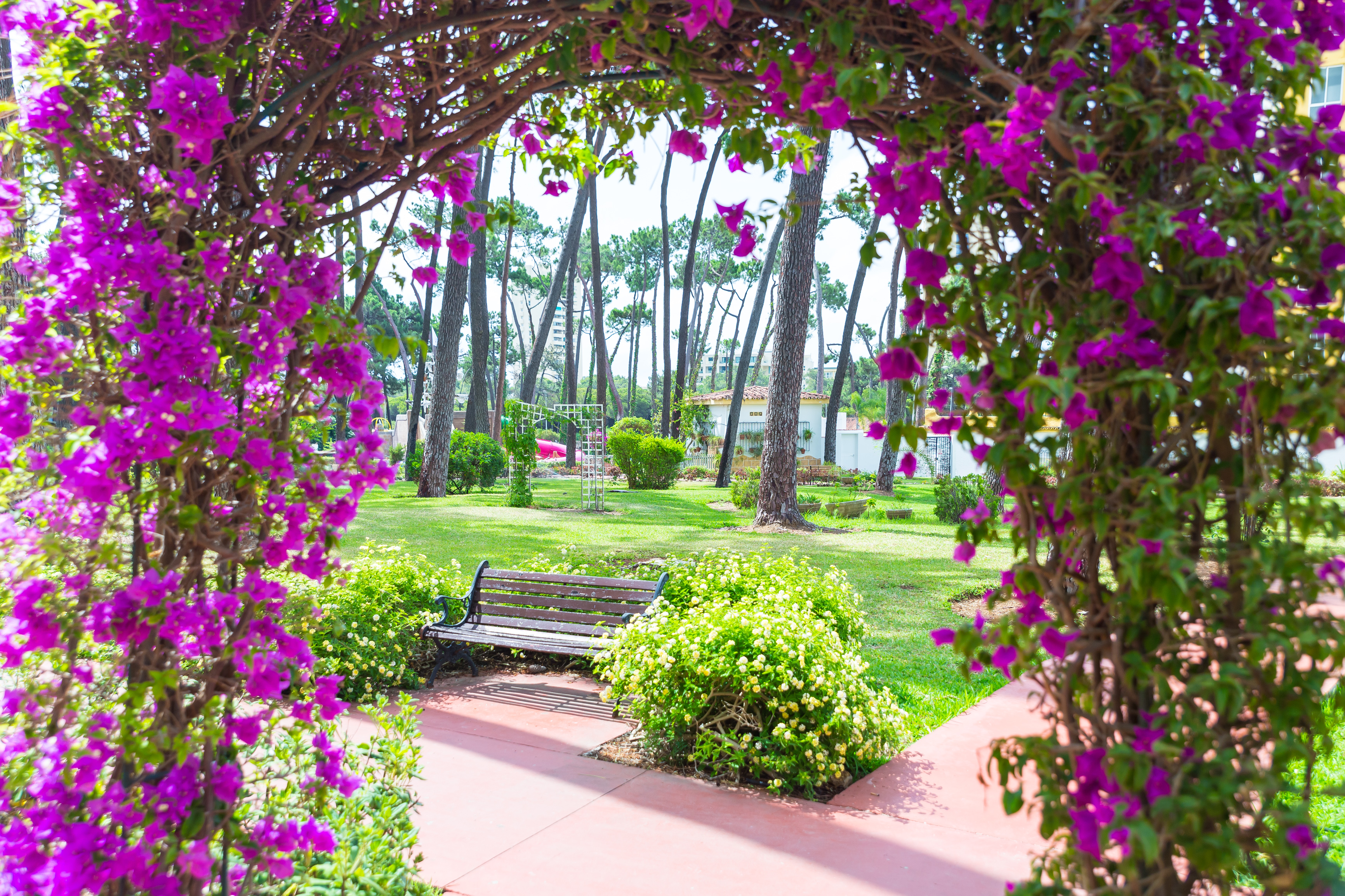 AluaSun Marbella Park