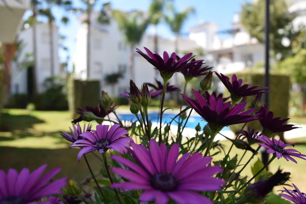 Apartamentos Serinamar Naranjos de Marbella