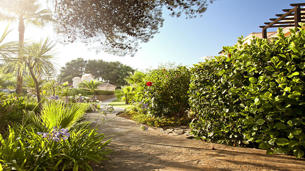 Mimosas Banus Luxury Apartments