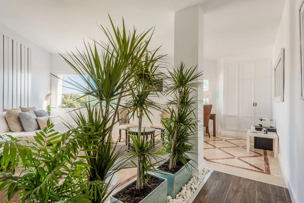 Molo Luxury Suites Puerto Banus