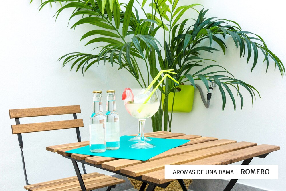 Oleholidays Aromas De Una Dama Apartamentos