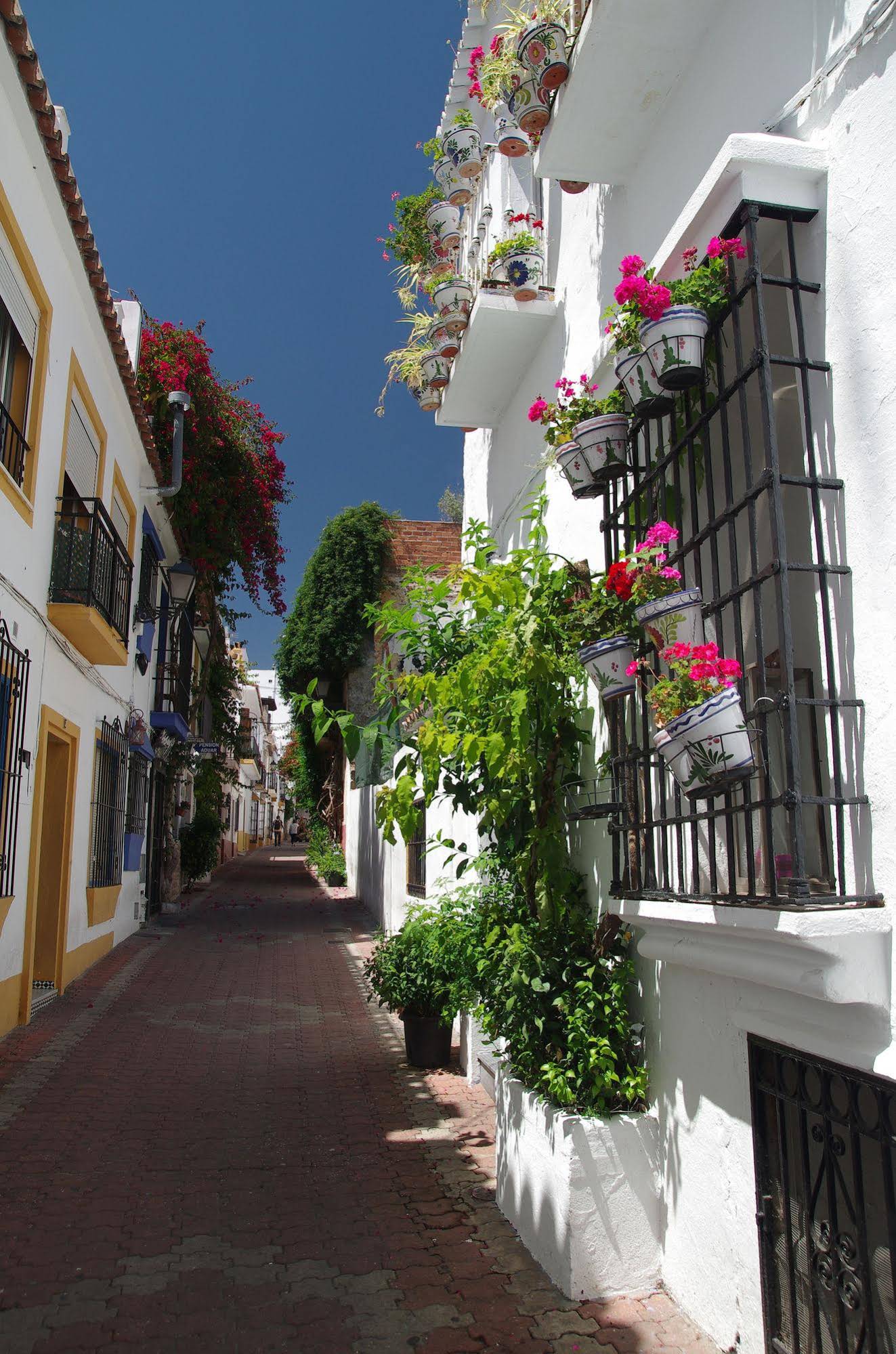 Pensión Aduar