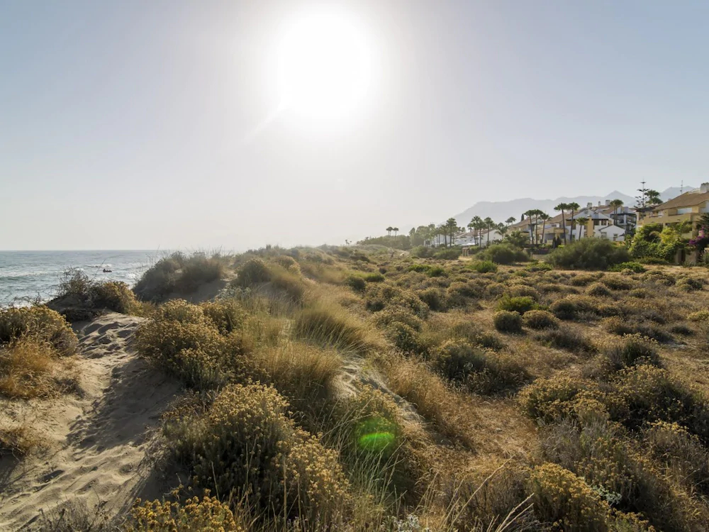 Sand Dunes Waterfront Penthouse