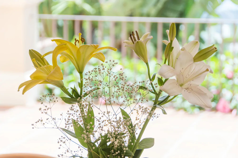 Solaga - Villa Los Monteros