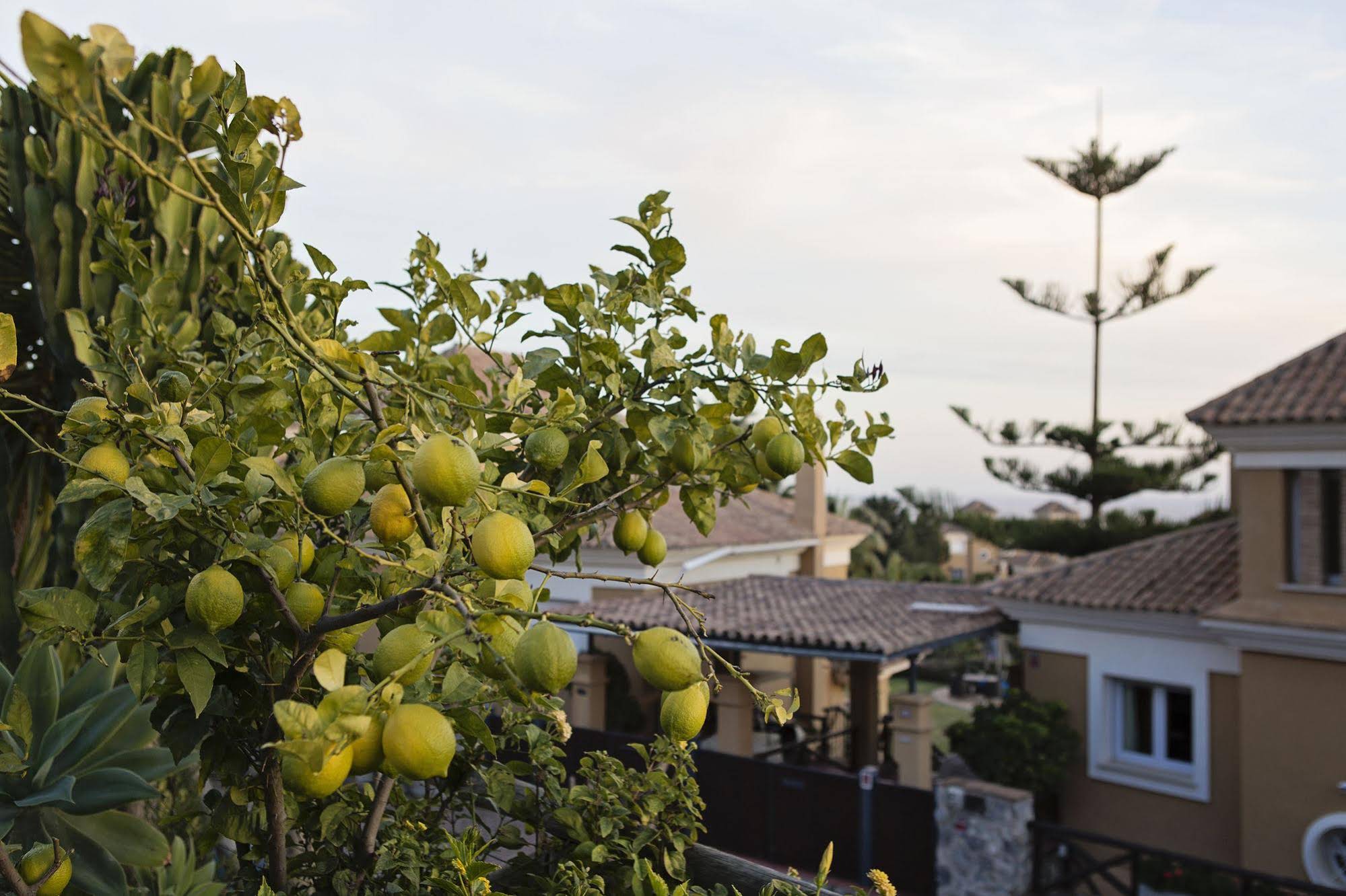 Villa Santa Clara Golf & Sea View