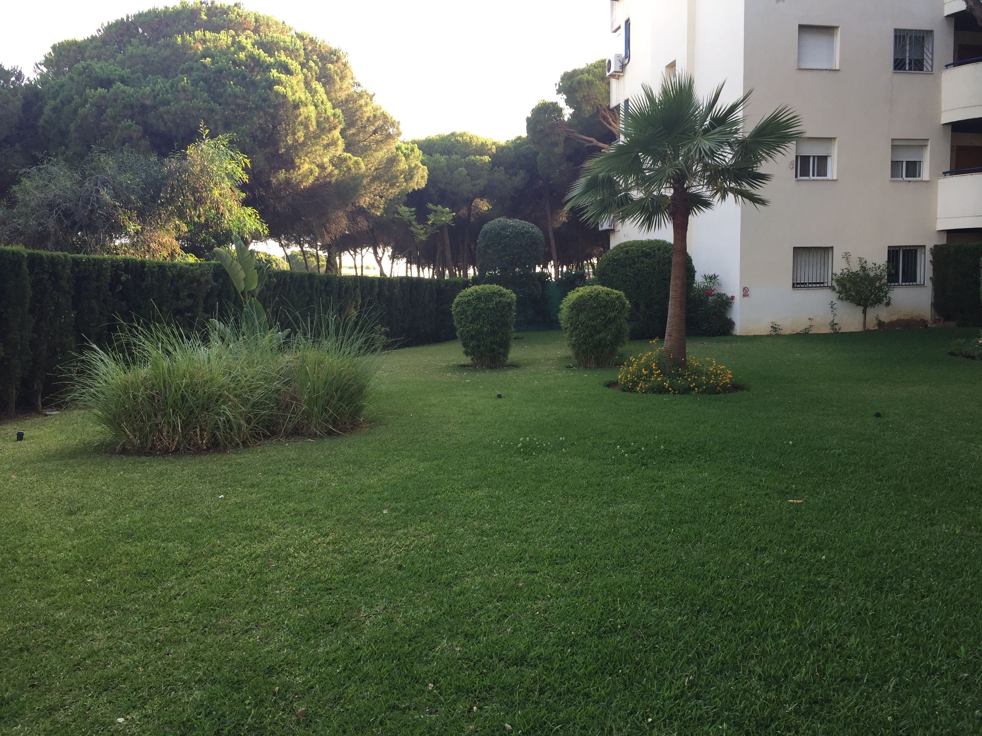 Apartamento Playa la Luna