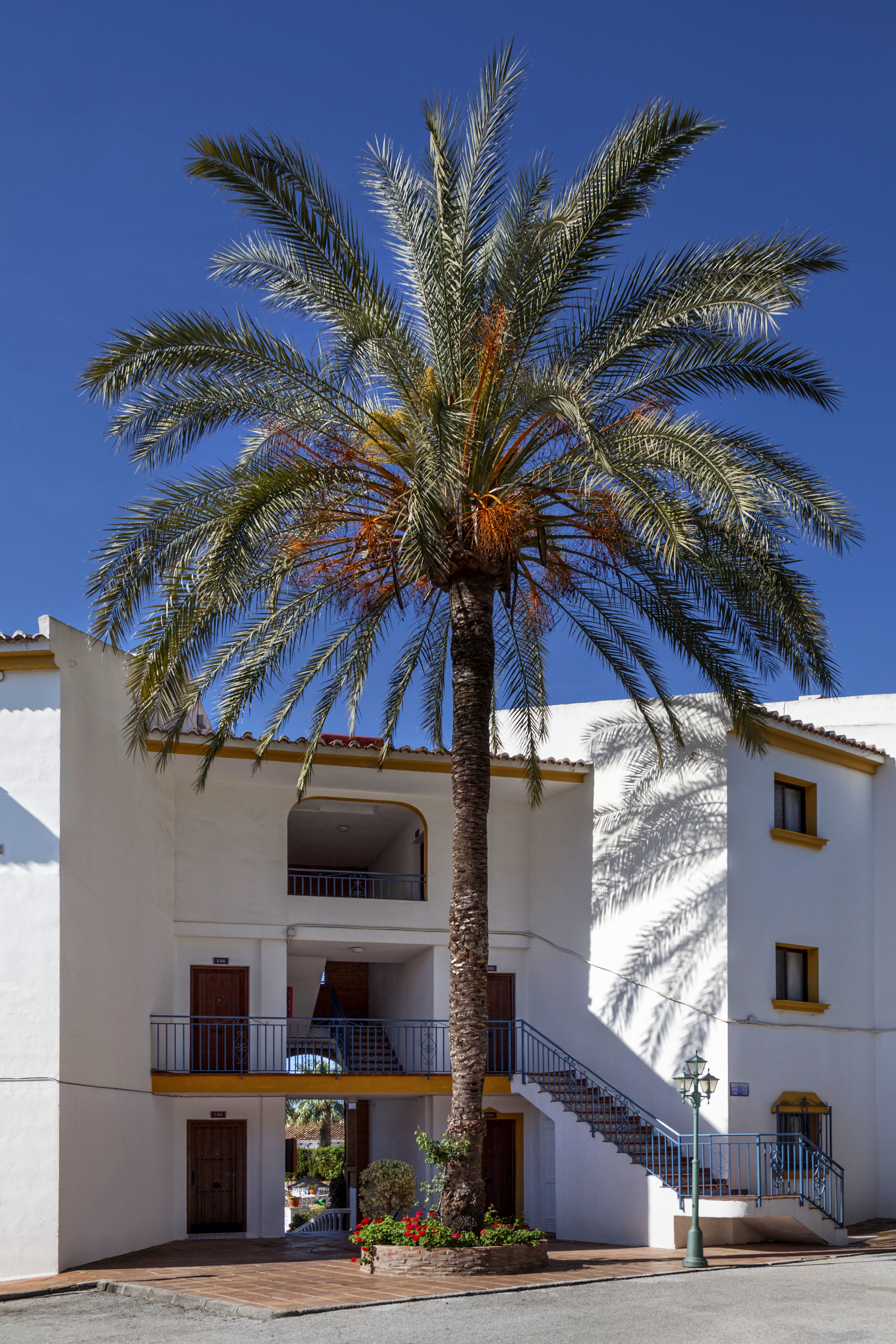 Club La Riviera