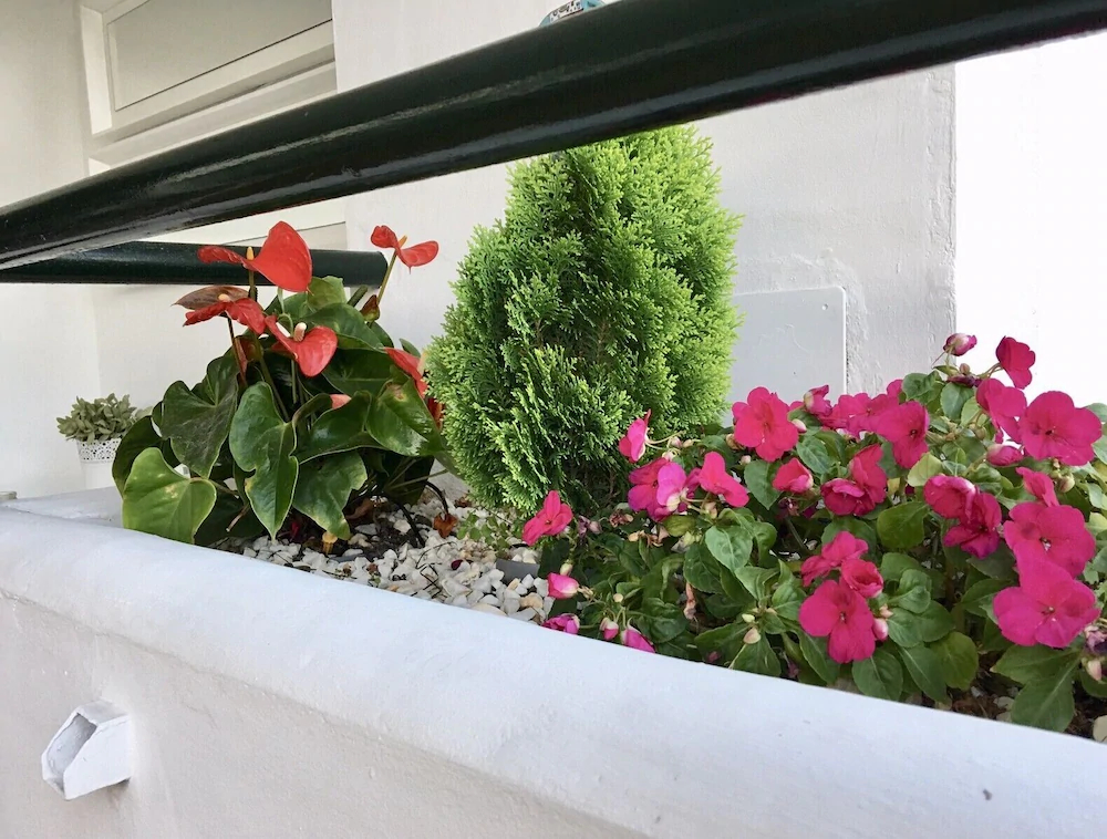 Mi Capricho Beach Apartments