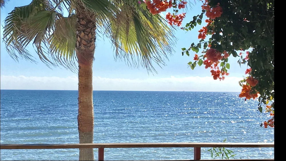 Mi Capricho Beach Apartments