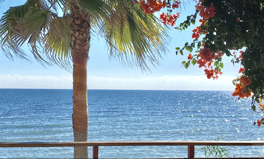 Mi Capricho Beach Apartments