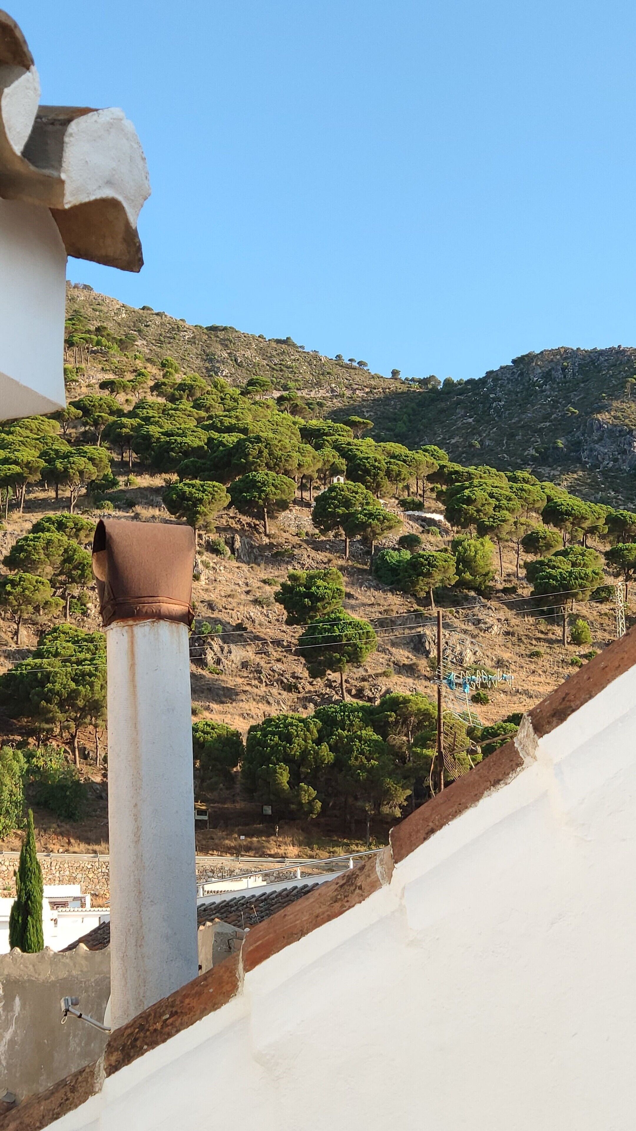 Opuntia Hotel Boutique