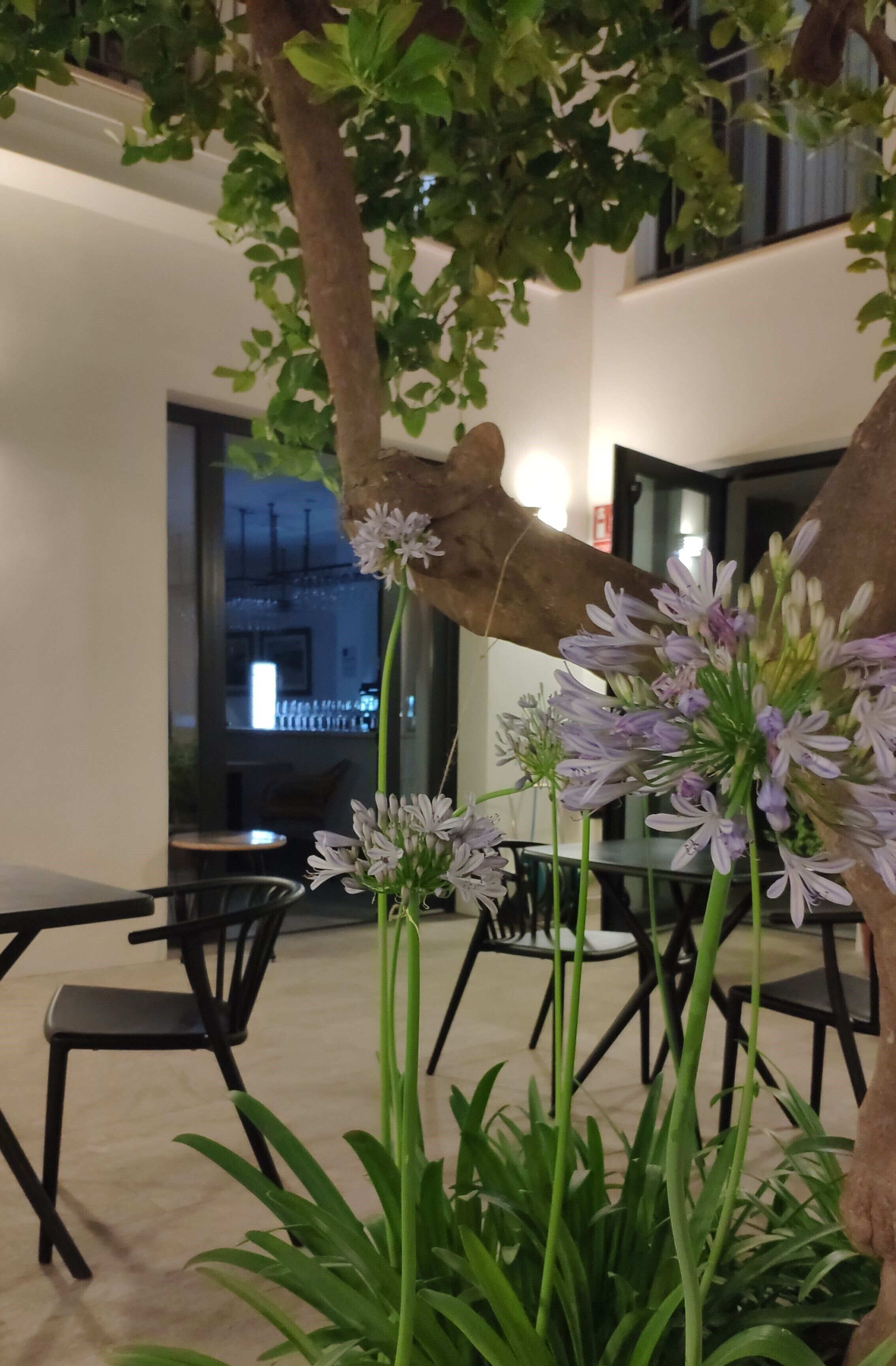 Opuntia Hotel Boutique