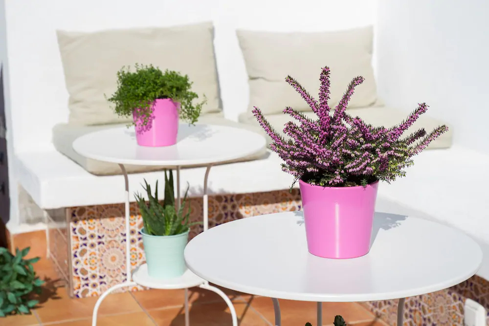 Astonishing Apartments by La Recepción