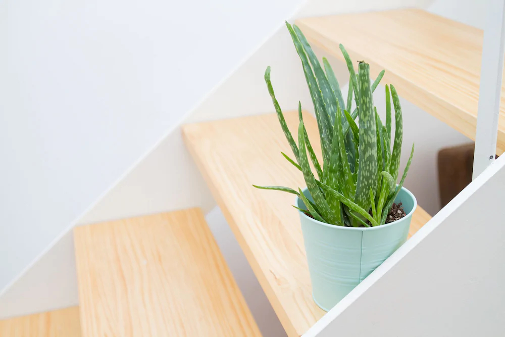 Astonishing Apartments by La Recepción