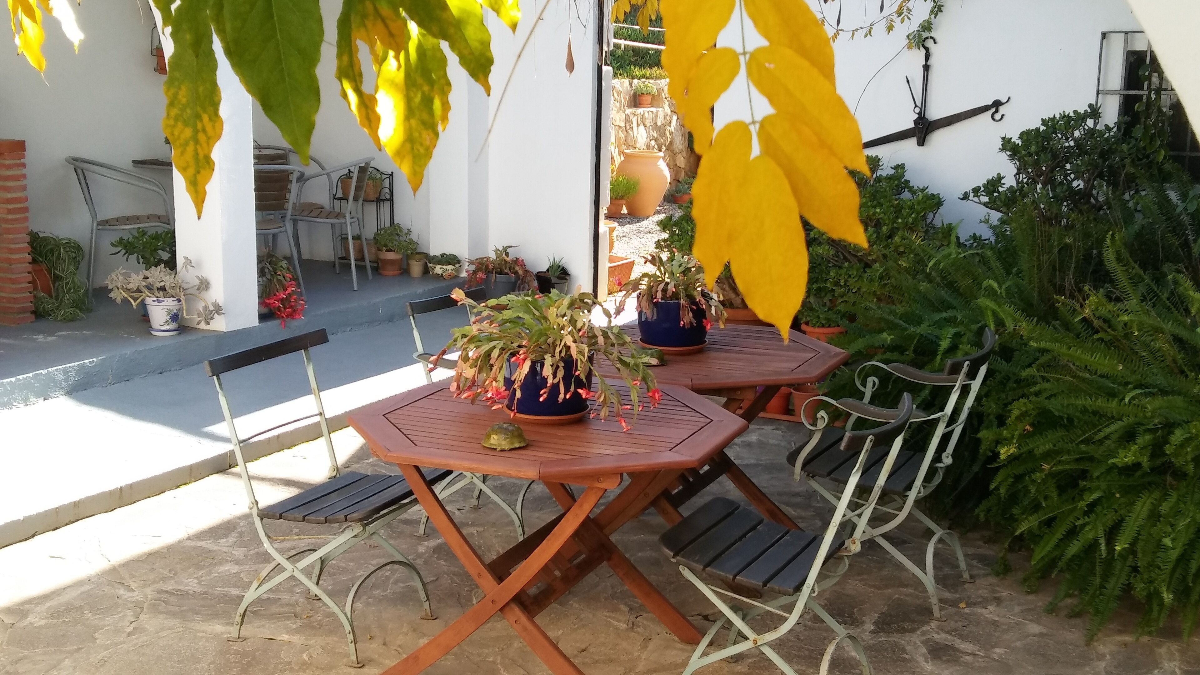 B&B Casa Domingo