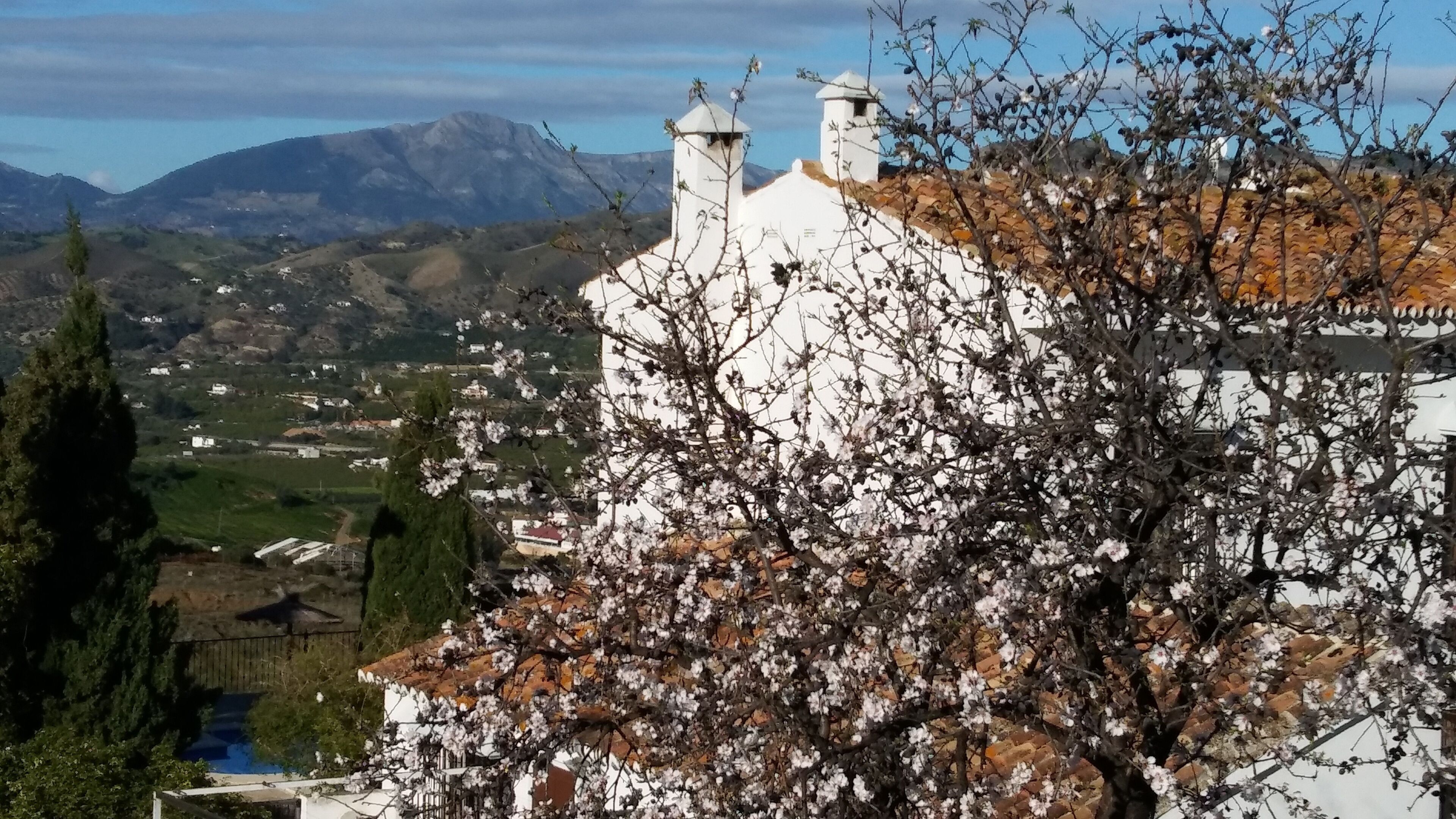 B&B Casa Domingo