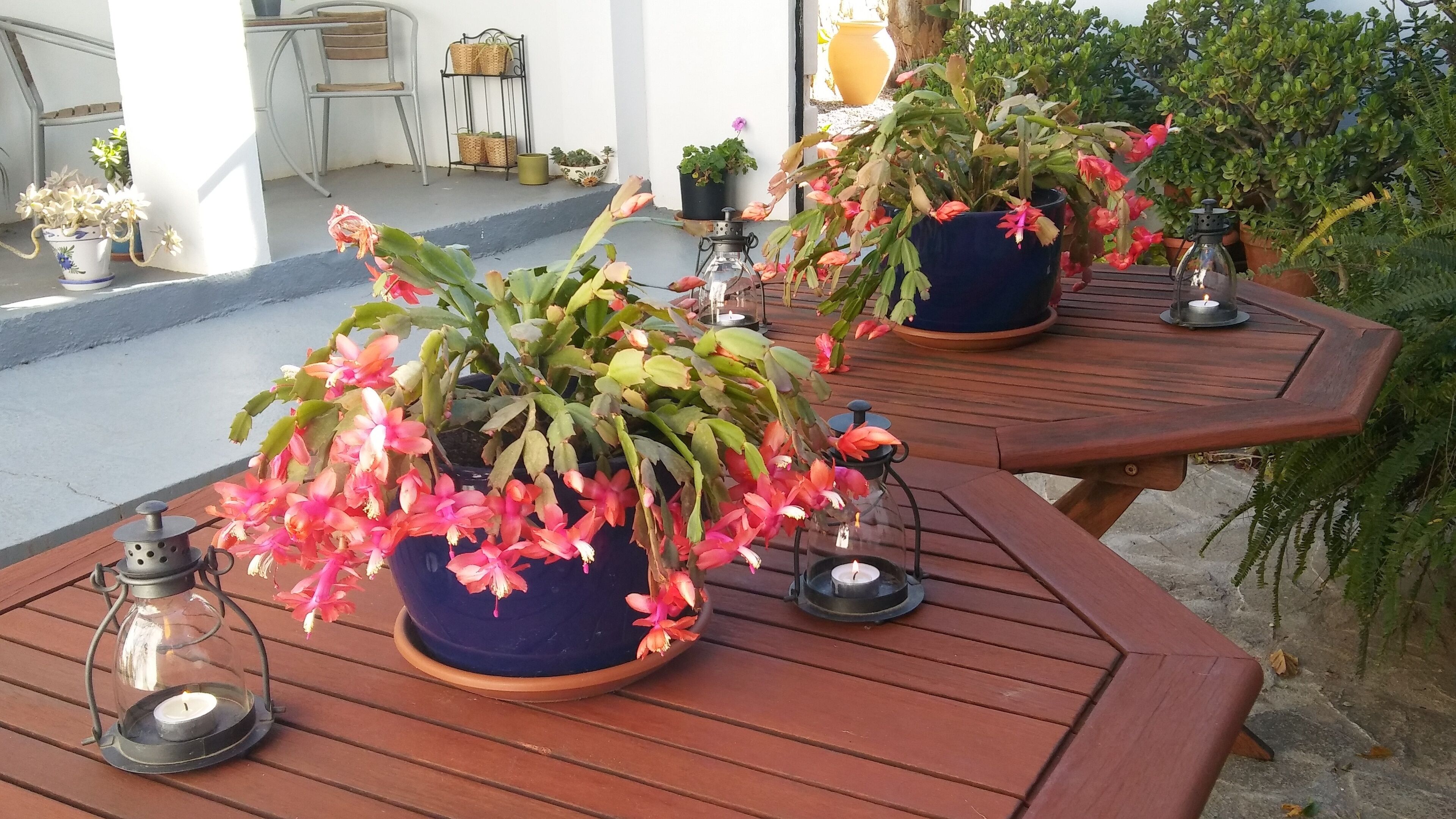 B&B Casa Domingo
