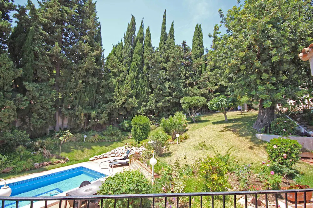 Camaleón GrupalMalaga