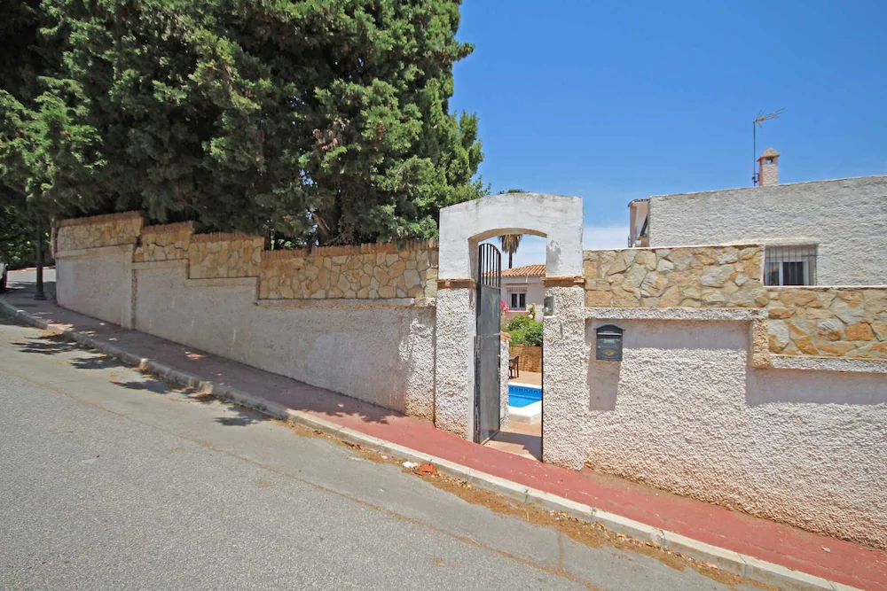 Camaleón GrupalMalaga