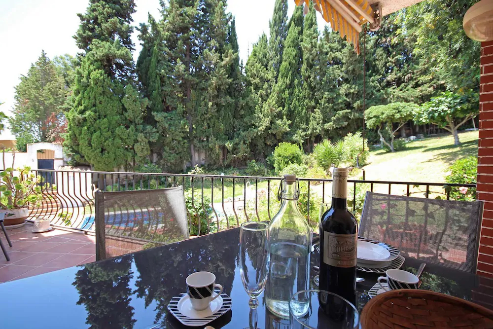 Camaleón GrupalMalaga