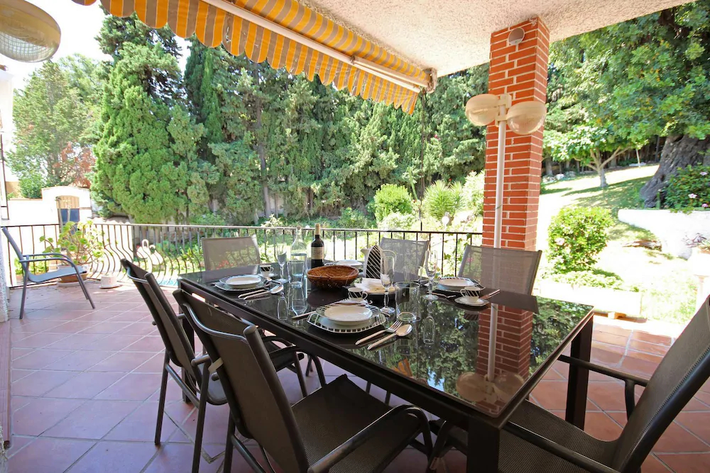 Camaleón GrupalMalaga