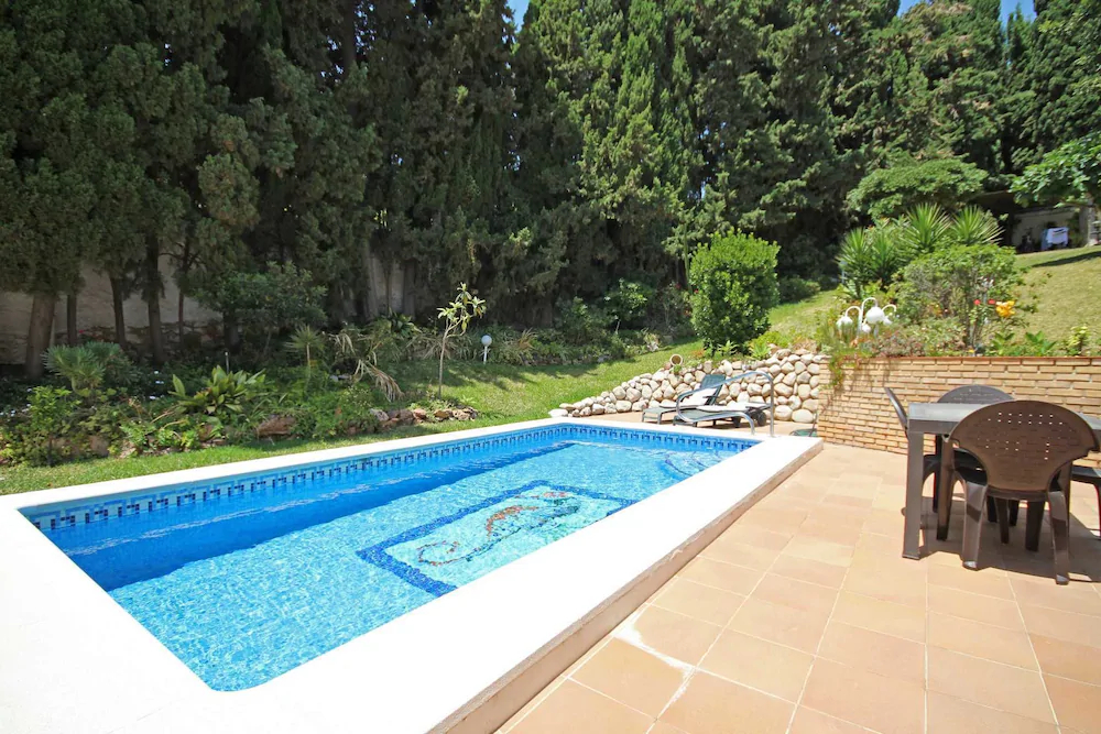 Camaleón GrupalMalaga
